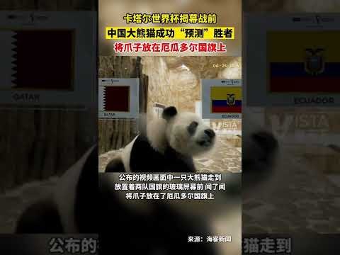 山东高速男,篮主场大胜,宁波町渥,香港赛马,赛程安排,赛果分析,马匹资料,比赛动态