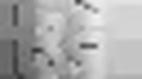 马来西亚羽毛球公开赛：安赛龙止步16强